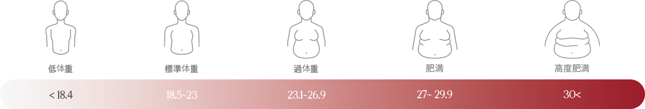 體重過輕：18.4、體重標準：18.5～23、體重過重：23.1～26.9、肥胖（1度）：27～29.9、重度肥胖：30以上