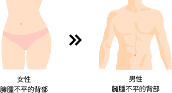 女性 側重曲線的脂肪抽吸 >> 男性 凸顯腹肌形態的脂肪抽吸